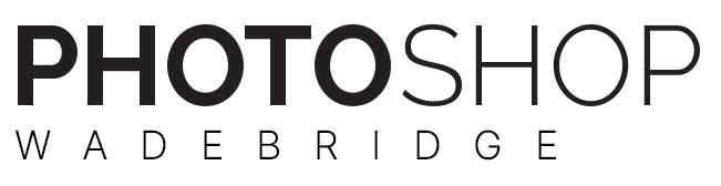 logo PSWADEBRIDGE